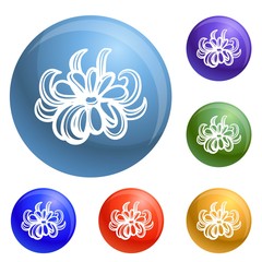 Poster - Bio calendula icons set vector 6 color isolated on white background