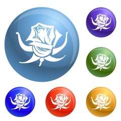 Poster - Rose icons set vector 6 color isolated on white background