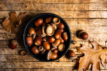 Acorns On A Rustic Wooden Table