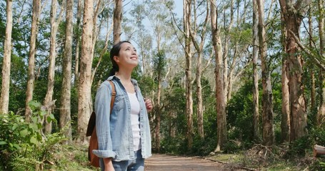 Canvas Print - Woman look at the forest when hike