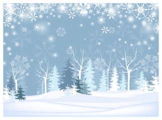 Naked and fir trees in forest vector illustration. Beautiful snowflakes falling in winter forest. Nature concept