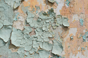 Wall Mural - Close-up detail of cracked paint on wall.