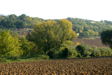 landscape,italy,field,agriculture,autumn,countryside,crop,view,rural,land,trees