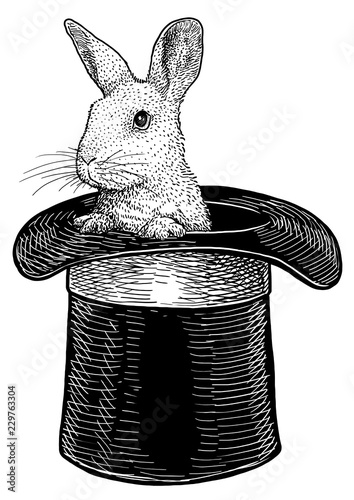 Rabbit in hat illustration, drawing, engraving, ink, line art, vector ...