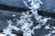 © Evgeniy - fragment of snow texture Snowflakes close-up. crystal clear ice. macro photo. winter. shallow depth of field. Christmas background for layout. christmas theme.