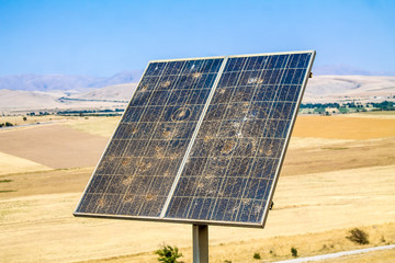 Old solar cells in nature