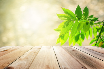 Wooden Brown And the background blurred foliage natural landscape and evening sun.