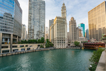 Wall Mural - Downtown Chicago along the Chicago River