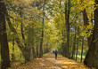 Ludzie spacerujący jesienna aleją