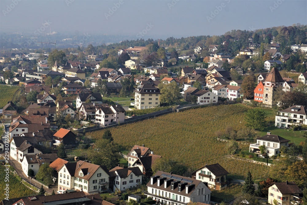 Obraz na płótnie View over the vineyards and the red house in Vaduz w salonie
