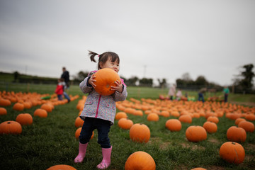 toddler girl picking pumpkin in farm