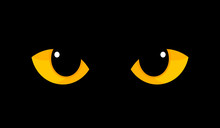 Yellow Cat Eyes In Darkness