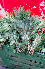 Wall Mural - Mixed fir and other evergreen branches for advent or Christmas decoration at the Christkindles market in Nuernberg, Bavaria, Germany