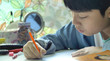 © sirikorn - Asian child doing your homework at home.