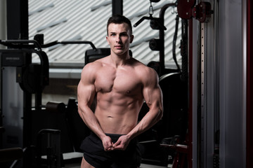  Portrait Of A Physically Fit Muscular Young Man