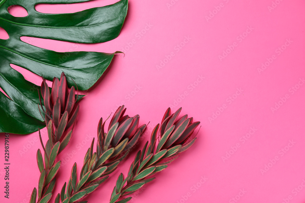 Tropical flowers with monstera leaf on color background