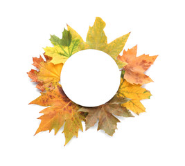 Composition with autumn leaves and space for text on white background, top view