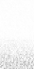 binary code screen