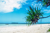 Fototapeta  - Tree on a paradise beach white sand blue ocean sea view