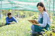 © DragonImages - Young female farmer sitting near the green plants and using touchpad with her colleague working in the background