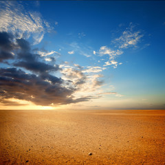 Wall Mural - Sandy desert in Egypt