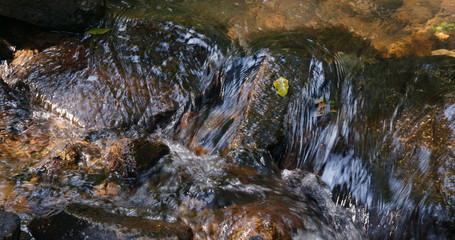 Canvas Print - Beautiful Cascade river in the forest