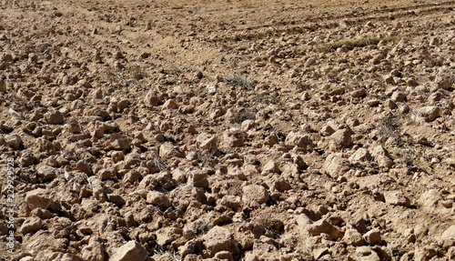 Sol De Terre Seche Laboure Stock Photo Adobe Stock