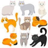Fototapeta Pokój dzieciecy - Cat. Set of flat cartoon icons. Vector.