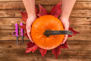 Wall Mural - Pumpkin in female hands on wooden table. Flat lay, top view fall autumn concept.