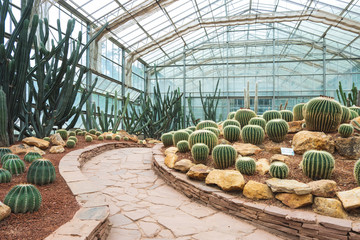  Tropical Botanical Garden cactus