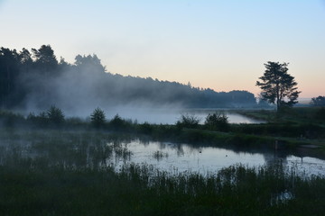  Nebelschwaden über Weiher