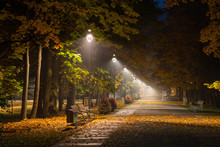 Autumnal Alley In The Park At Night In Konstancin Jeziorna, Mazowieckie, Poland