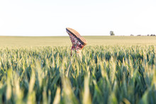 A Flowery Boot Sticking Up Out Of A Field Of Barley.