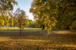 Wundervolle Herbstansicht mit Alleen,Teich ,Brücke und bunt gefärbten Bäumen und Blättern in Leipzig