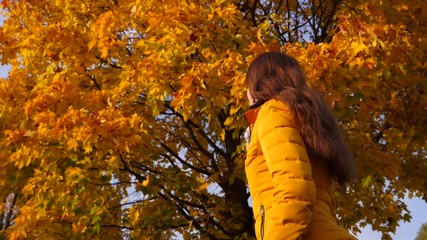 woman admire slow falling from tree maple leaves