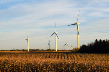 Wind Power Windmills Renewable Clean Green Energy Electricity Turbine