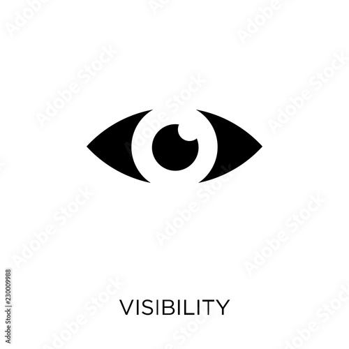 Cuadros en Lienzo Visibility icon. Visibility symbol design from SEO collection.
