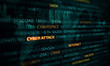 © Sergey Nivens - Computer hacking concept