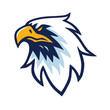 Eagle Head Logo Vector Design Template Icon