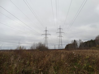 Power line in the field