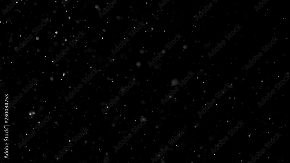 White Snow Falling on Isolated Black Background, Shot of Flying Snowflakes Bokeh, Dust Particles or Powder in the Air. Holiday Overlay Effect - obrazy, fototapety, plakaty 