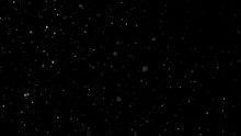 White Snow Falling On Isolated Black Background, Shot Of Flying Snowflakes Bokeh, Dust Particles Or Powder In The Air. Holiday Overlay Effect