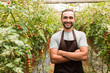 © F8  \ Suport Ukraine - Confident man gardener in glasses standing in tomatoes greenhouse with arms crossed