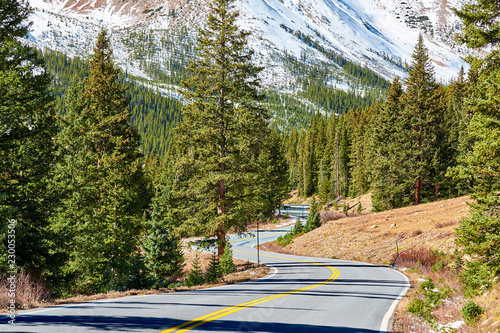 Fototapeta z sosnowym lasem highway-in-colorado-rocky-mountains