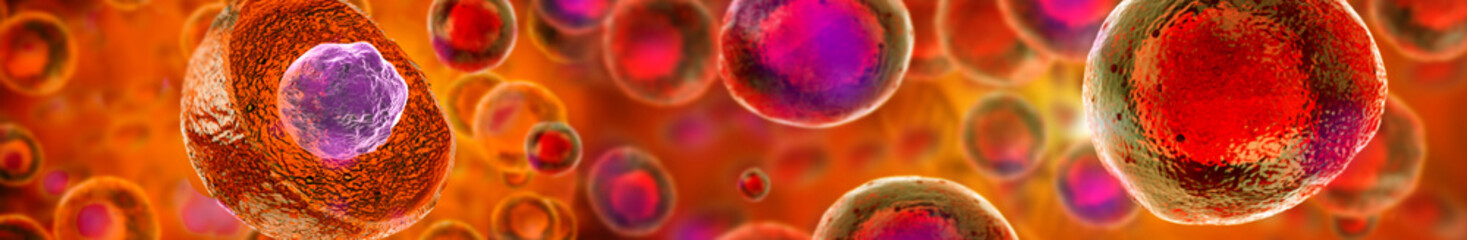 Wall Mural - embryonic stem cells , cellular therapy , regeneration , disease treatment