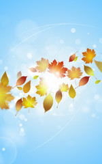 Wall Mural - Autumn Falling Leaves Banner