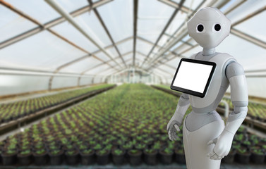 Aufkleber - The robot is working in a greenhouse. Smart farming and digital agriculture