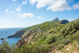 Fototapeta Na ścianę - Mallorca, Reisen, Urlaub, Länder, Pflanzen, Abenteuer, Meer, Wasser, Strand, Reisen