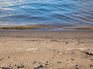 beach and sea