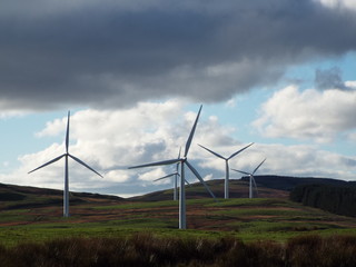  wind turbines in the field